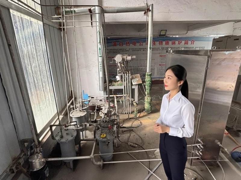 電廠鍋爐水質(zhì)安裝現(xiàn)場(chǎng)