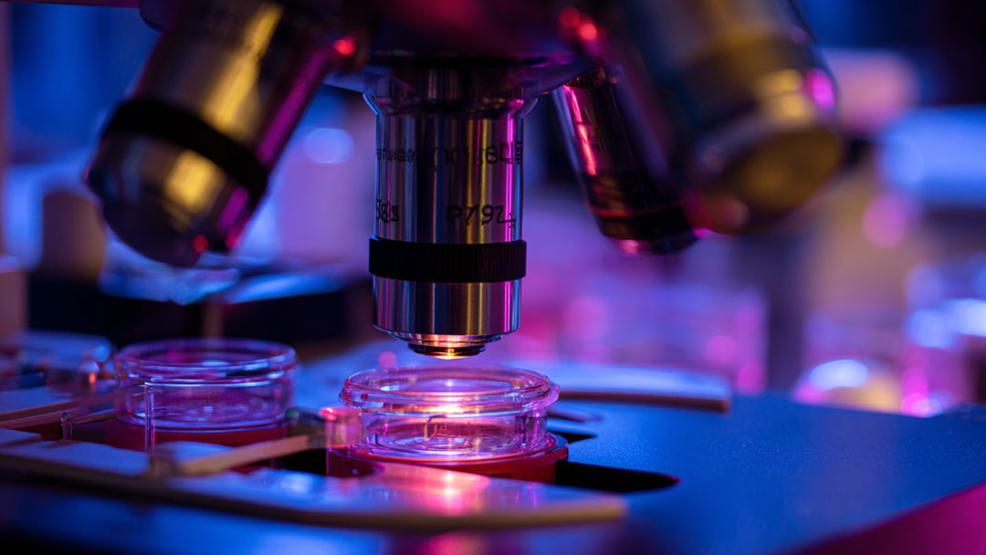 便攜式微量溶解氧檢測(cè)儀在半導(dǎo)體超純水檢測(cè)中的應(yīng)用