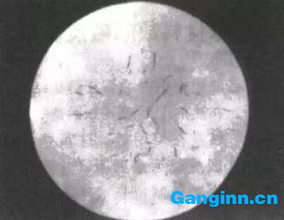 熱軋鋼坯及大型鍛件白點(diǎn) 熱軋鋼坯及大型鍛件白點(diǎn)